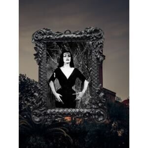 Vampira Plan 9 from Outer Space Horror Ornaments Vintage Holiday Halloween Decor